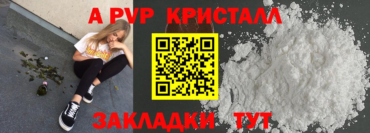 A PVP СК Алейск